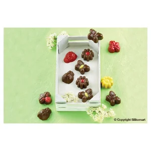 Moule à Chocolat 15 Sujets Spring Life Easy Choc – Silicone Spécial Chocolat 8