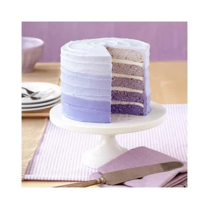 Moule Gâteau à étages Rainbow Cake Wilton (x5) 9