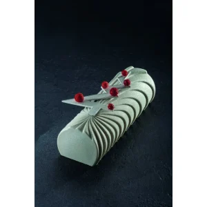 Moule Silicone Bûche Comète 25 X 8,8 Cm X H 7,3 Cm Pavoni 12