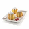 Moule Silicone Mini Pandoro Silikomart Professional 16