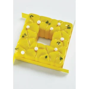 Moule Silicone Tarte Square 15 X H 5,5 Cm Pavoni 6